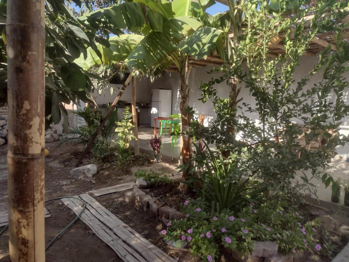 Flying Monkey Hostel Nazca Exteriér fotografie
